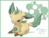 My Leafeon Picture 2.jpg