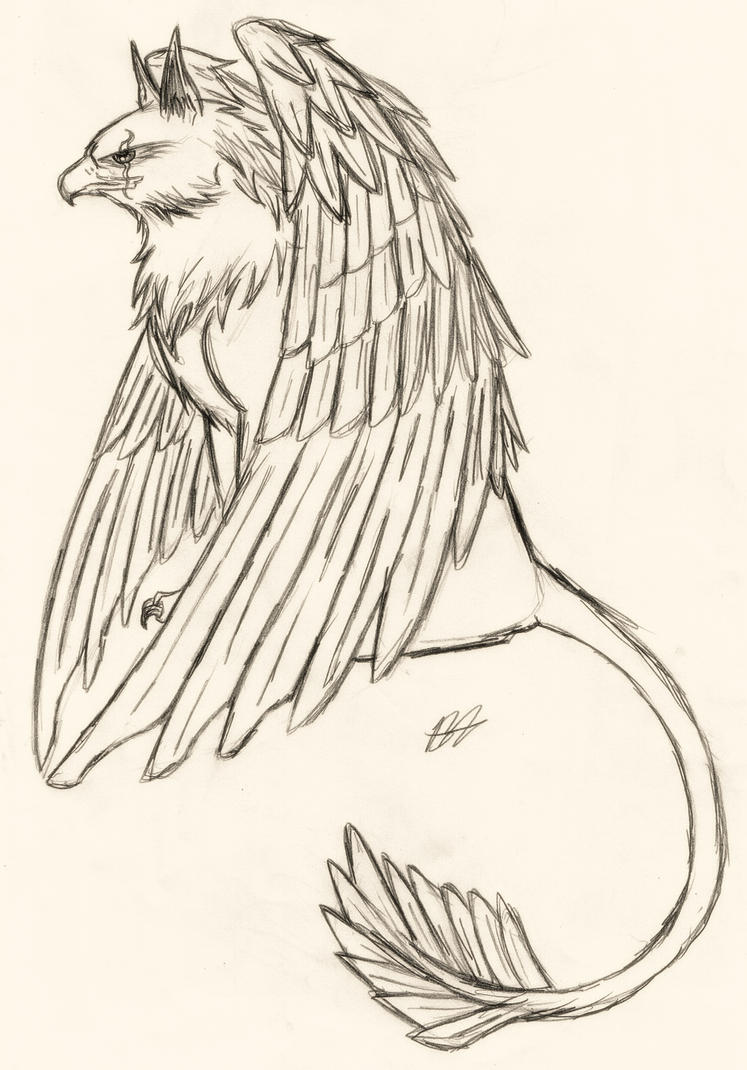 gryphin_sketch_by_kyuubi0017-d2yz2ng.jpg
