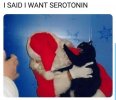 animal-said-want-serotonin-aborteddreams.jpeg