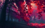 red-forest-wallpaper.jpg
