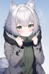 short grey haired wolf girl green eyes fantasy adventure winter coat curious s-3340871361.png