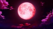 HD-wallpaper-akatsuki-scenery-red-anime-blood-moon-blood-moon-red-moon.jpg