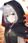 short grey hair green eyes wolf girl fantasy adventure autumn cloak younger smil s-1116841442.png