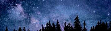 night-starry-sky-forest-silhouette-astronomy-cosmos-5k-3840x1080-1679.jpg