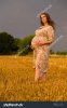 pregnant-woman-in-a-wheat-field-313529684.jpg