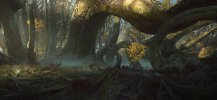 sotdf-ancient-forest-concept.jpg