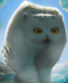 Owlbear Cub.PNG