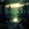 swamp1.jpeg