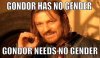 Gondor has no gender.jpg