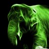 green-elephant-3374-f-james-ahn.jpg