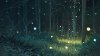 beautiful-firefly-in-the-forest-anime-wallpaper-598x336.jpg
