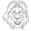 Lion_outline.jpg