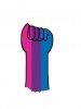bisexual pride fist.JPG