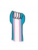 transgender pride fist.JPG