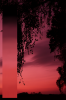 Sunset_colors.png