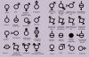 Gender-chart-560x367.jpg