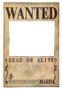 one_piece_wanted_poster_by_ei819.png