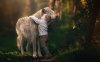 little-boy-hugging-a-wolf-in-forest-on-sunny-day-amazing-photography.jpg