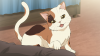 Calico Cat Form.png
