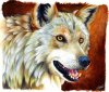 fa90eaece182e64f7bf831660cb2e3b0--wolf-painting-wolves-art.jpg