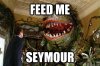Feed Me Seymour.jpg