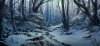winter forest.jpg
