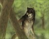 Werewolf in the Woods.jpg