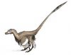 220px-Velociraptor_dinoguy2.jpg