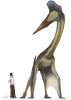 witton-pterosaurs-large-1024x843.jpg