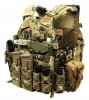 dd335d07faf2911bf6ef57974e806f7d--tactical-survival-gear-tactical-vest.jpg