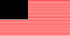 50 lines US Flag.png