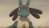 lucario front.png