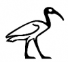 Ibis pictograph  left.png