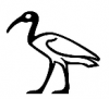 Ibis pictograph  right.png