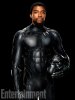 chadwick_boseman_as_t_challa_in_black_panther_by_artlover67-dbg7a5j.jpg
