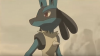 lucario front-side.png