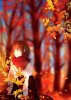 autumn_feel_by_lluluchwan-damah0c.jpg