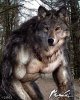 half wolf form.jpg
