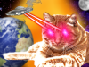 Cat In Space.png