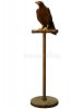 eagle-bird-perch-d-illustration-48308627.jpg