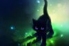 medium-black-cat-anime-wallpaper-wallfinest.jpg