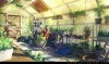 Airis greenhouse.jpg
