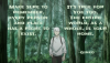 quote___mushishi_by_doppelmore-da2pl13.png