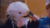 Danger 5 Thumbs Up Colonel.gif