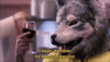 Danger 5 The Wager.gif