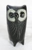 black owl.jpg
