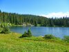 Forest Lakes - lower lake 2.jpg