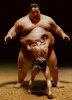 Funny-Giant-Sumo-Wrestler-Picture.jpg