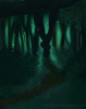 forest-scene1.png