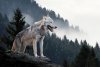 vaewolf ascendant wolf.jpg